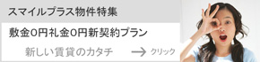 �X�}�C���v���X